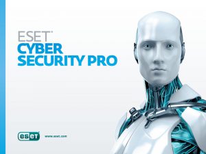 eset-cyber-security-pro